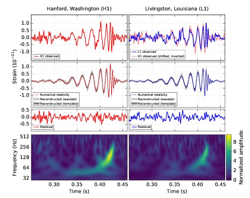 The black hole merger as seen by the LIGO detectors